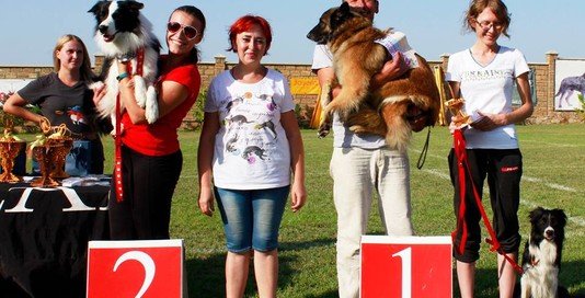 Призеры и победители Чемпионата Украины по дог-фризби.  Одесса, сентябрь 2017 года. фото