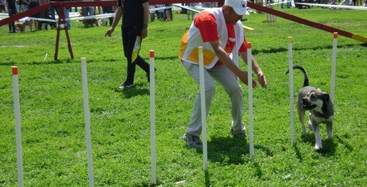 Забег на Этапе Кубка мира. Одесса, май 2012 года. фото