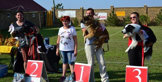 Призеры и победители Чемпионата Украины по дог-фризби.  Одесса, сентябрь 2017 года. фото